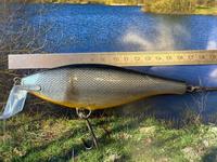 Wobbler Angeln Spinnfischen Raubfisch Hecht Zander Nordrhein-Westfalen - Preußisch Oldendorf Vorschau