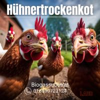 HTK Hühnertrockenkot Mist Rindermist Bullenmist Biogas Mais Gülle Saarland - Weiskirchen Vorschau