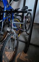 Fahrrad Unisex West - Nied Vorschau