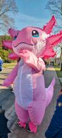 Axolotl Kostüm Pink 2,20 Meter Nordrhein-Westfalen - Wesel Vorschau