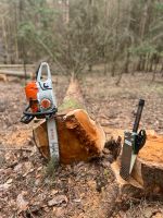 Holzeinschlag, Holzrücken, Forstarbeit, Holzspalten, Wald, Forst Thüringen - Eckstedt Vorschau