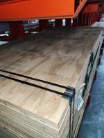 Elliottis-Pine Sperrholz 2440x1220x20 mm Sperrholz Sachsen-Anhalt - Köthen (Anhalt) Vorschau