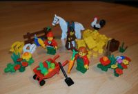 Lego® Bauernhof - Tiere - Minifiguren Brandenburg - Elsterwerda Vorschau