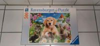Ravensburger Puzzle 500 Teile  *Tierwelpen* Vollständig Thüringen - Saalfeld (Saale) Vorschau