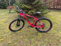 Jugend Hardtail Mountainbike RAYMON SEVEN RAY 2.0 27.5Zoll Bayern - Burgbernheim Vorschau