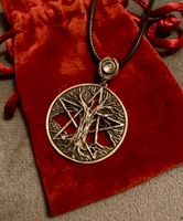 Wunderschönes Amulett Pentagramm Natur Witch Hexe Wicca Larp Baden-Württemberg - Heilbronn Vorschau