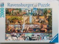Ravensburger puzzle: großartige Tierwelt Köln - Köln Klettenberg Vorschau