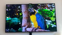 Samsung,Fernseher,Smart tv,46 Zoll Hessen - Langen (Hessen) Vorschau