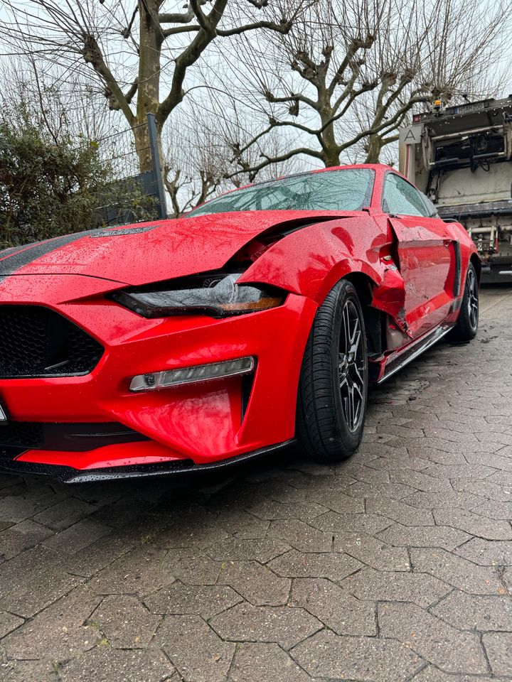 Mustang GT 5.0 V8, Sternenhimmel, Ambiente, großes Navi in Hannover