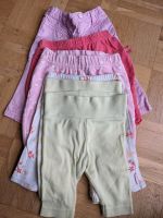 Hosen Gr. 50/56 6 er Set Sachsen - Bannewitz Vorschau