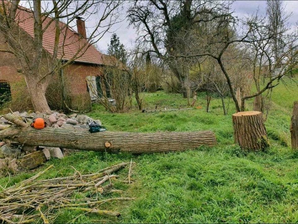 Gartenpflege dauerhaft ,  Gartenarbeiten,  Pflanzungen,  Planung in Glienicke/Nordbahn