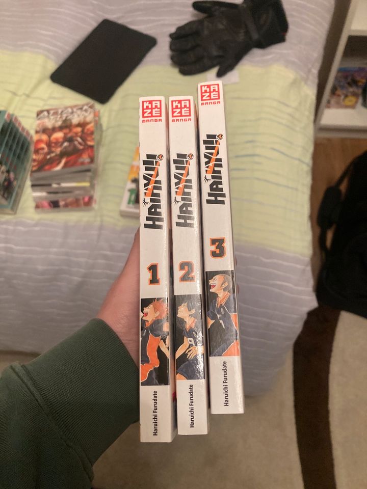 MANGA SAMMLUNG ZU VERKAUFEN in Wedemark