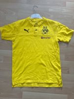 BVB T-Shirt Schleswig-Holstein - Neumünster Vorschau