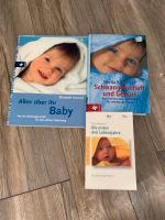 Bücher Schwangerschaft Geburt Niedersachsen - Vollersode Vorschau