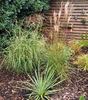 Wohnung mit Terrasse oder Garten Niedersachsen - Eicklingen Vorschau