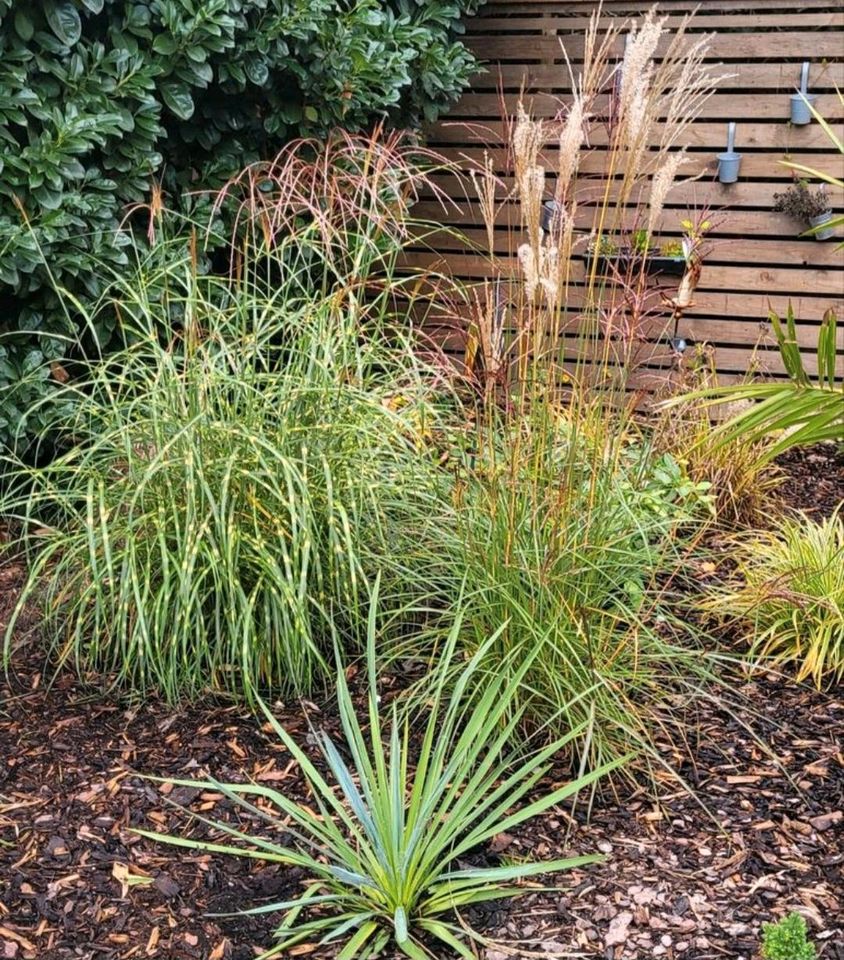 Wohnung mit Terrasse oder Garten in Eicklingen