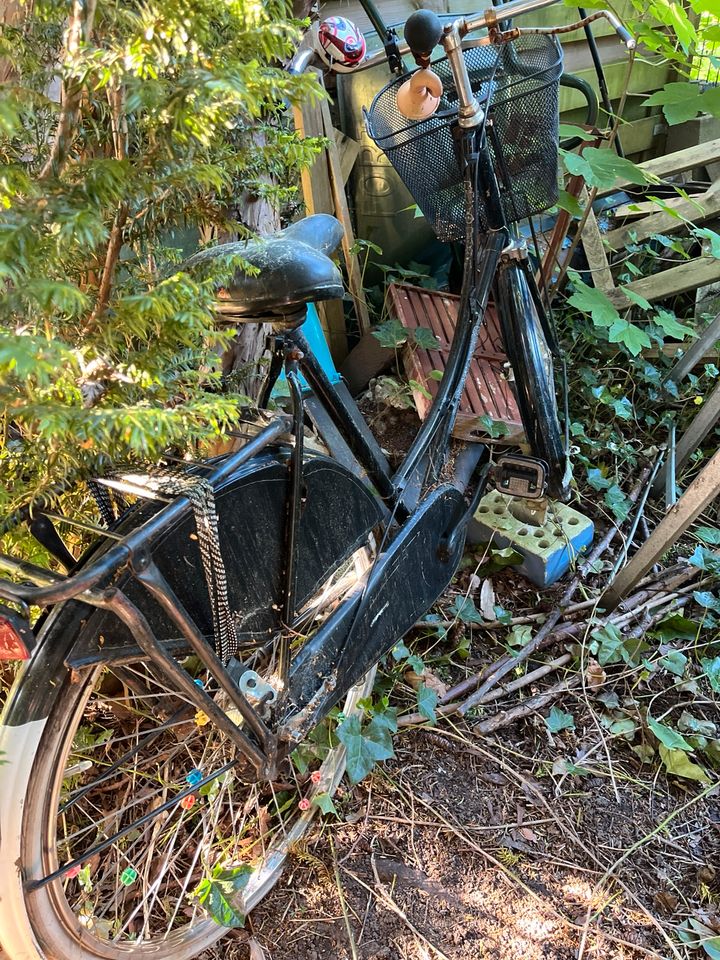 Gazelle Fahrrad in Hamburg