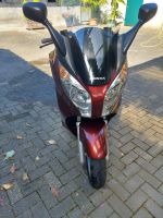 Honda S-Wing Motorroller 125ccm zu verkaufen Nordrhein-Westfalen - Weeze Vorschau