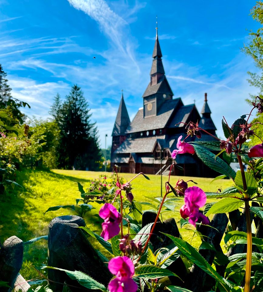 Ferienwohnung in Hahnenklee mit Blick auf Berg, Wald und See in Goslar