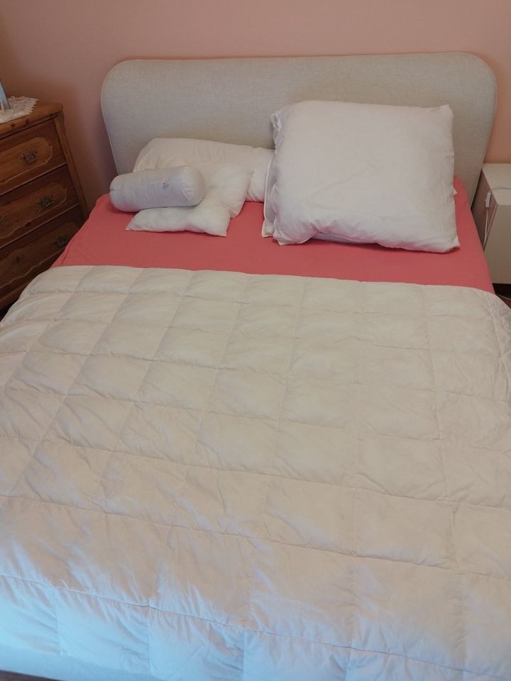 Marken Boxspring Bett (Ruf) 160x200 cm Seniorengerecht/ neuwertig in Ludwigshafen