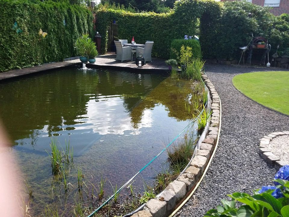 Garten Teich Auflösung( Es wird nur Alles zusammen Verkaufe ) in Bramsche