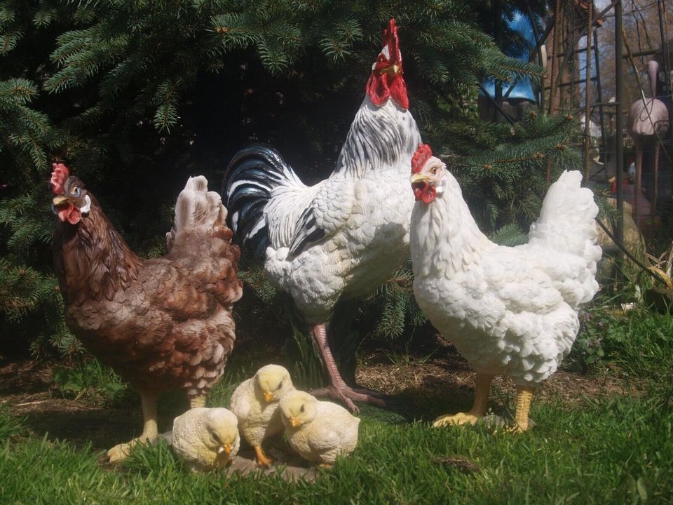 Hühner Hennen Hähne Deko Figur viele verschiedene Wetterfest NEU in Wesel