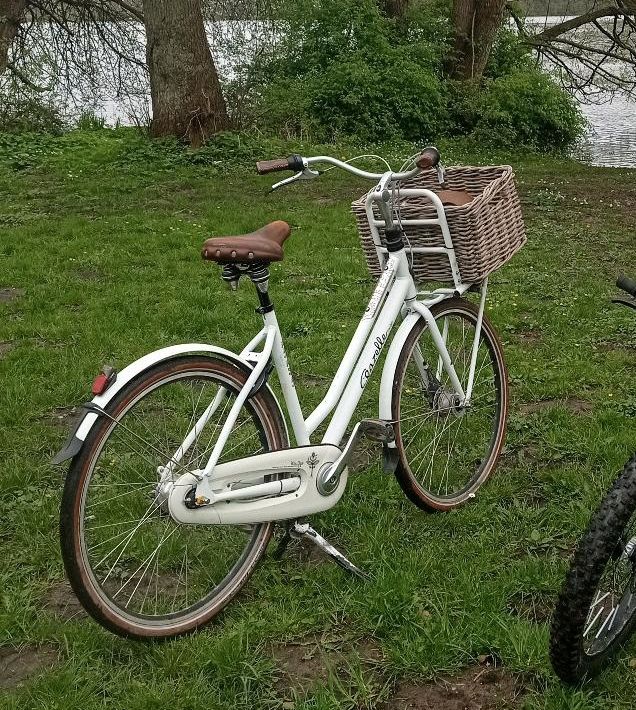 Fahrrad Miss Grace Gazelle 7 Gänge Hollandfahrrad Lastenfahrrad in Ratzeburg