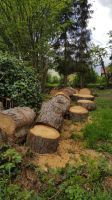 Brennholz gemischt ca. 10 Schüttraummeter Saarland - Illingen Vorschau