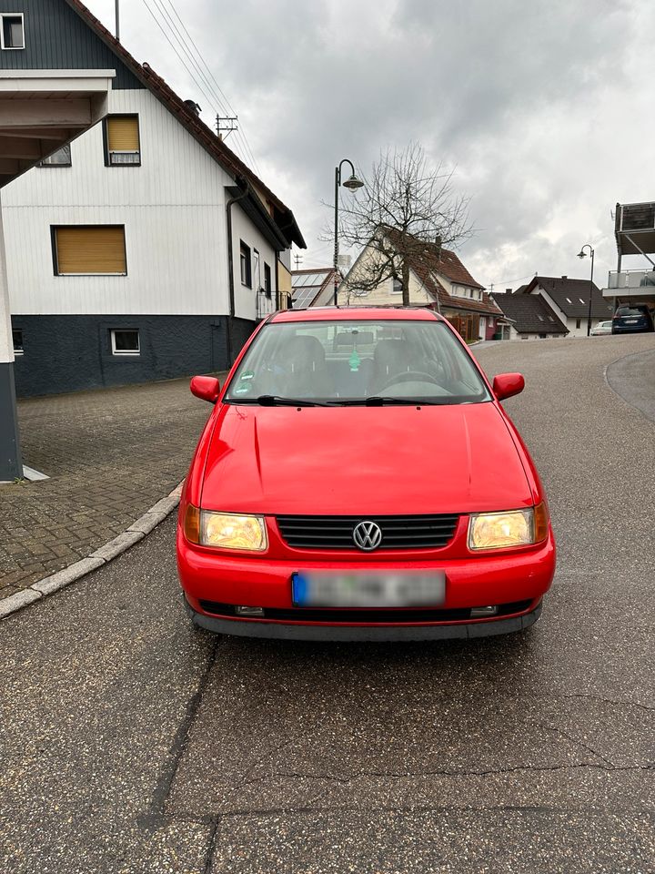 Polo Volkswagen in Haslach im Kinzigtal