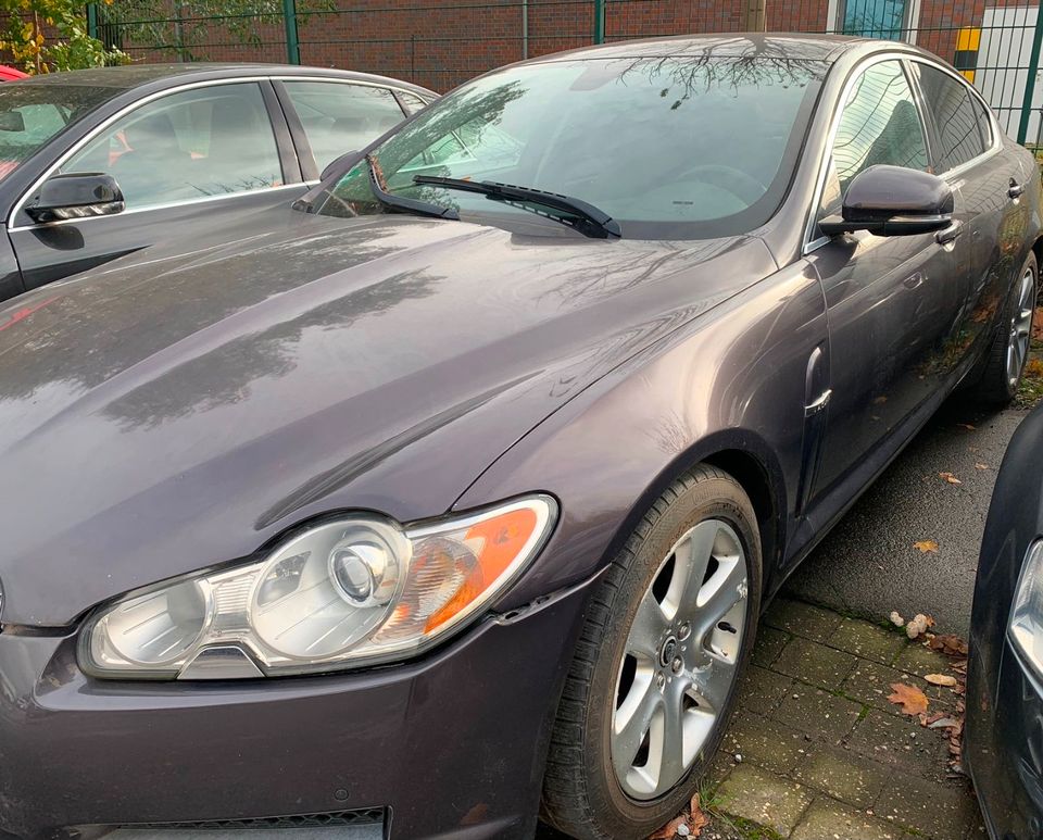 Jaguar XF 250 3.0 V6 Diesel Luxury,Leder,Navi,Alu in Essen