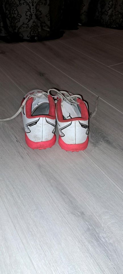 Fussballschuhe. Gr.33. Puma in Leipzig