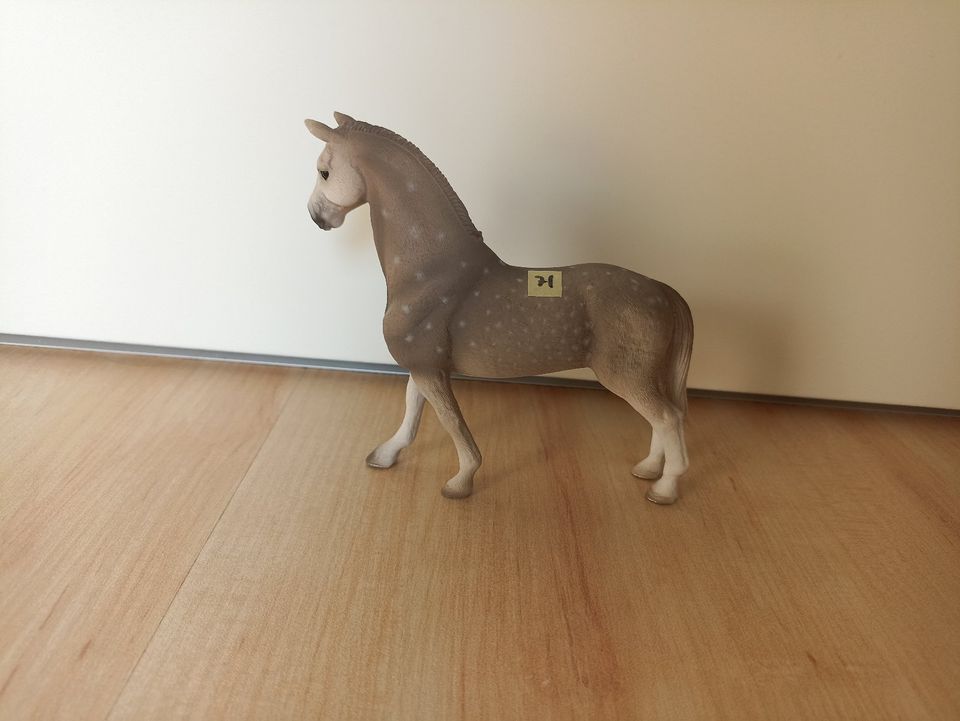 Schleich Pferd Holsteiner 13859, 13869 in Nürnberg (Mittelfr)