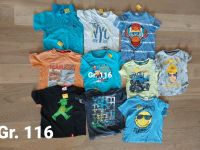 KINDER BEKLEIDUNGS SET 10x T-Shirts Gr. 116 Niedersachsen - Munster Vorschau