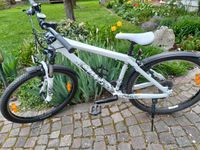 Scott Mountainbike Bayern - Aislingen Vorschau