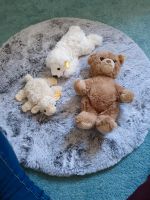 Steiff Kuscheltiere Teddy Bär Eisbär Schaf Lamm Niedersachsen - Braunschweig Vorschau