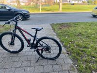 Cube Mountainbike Nordrhein-Westfalen - Geseke Vorschau