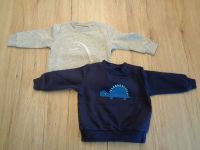 Set Sweatshirts / Pullover / Dino / grau / blau / 62/68 / neu Schleswig-Holstein - Meyn Vorschau