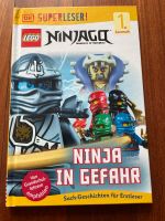 Lego Ninjago Buch “Ninja in Gefahr” 1. Lesestufe ❤️ Bayern - Gröbenzell Vorschau