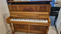 Steingraeber & Söhne Klavier/Piano, Modell 124/130, REDUZIERT Bayern - Altendorf Vorschau