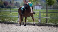 Reitbeteilligung Pferd sucht Reiter Baden-Württemberg - Engen Vorschau