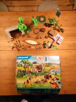 Playmobil 70329 Spirit vollständig Hessen - Roßdorf Vorschau