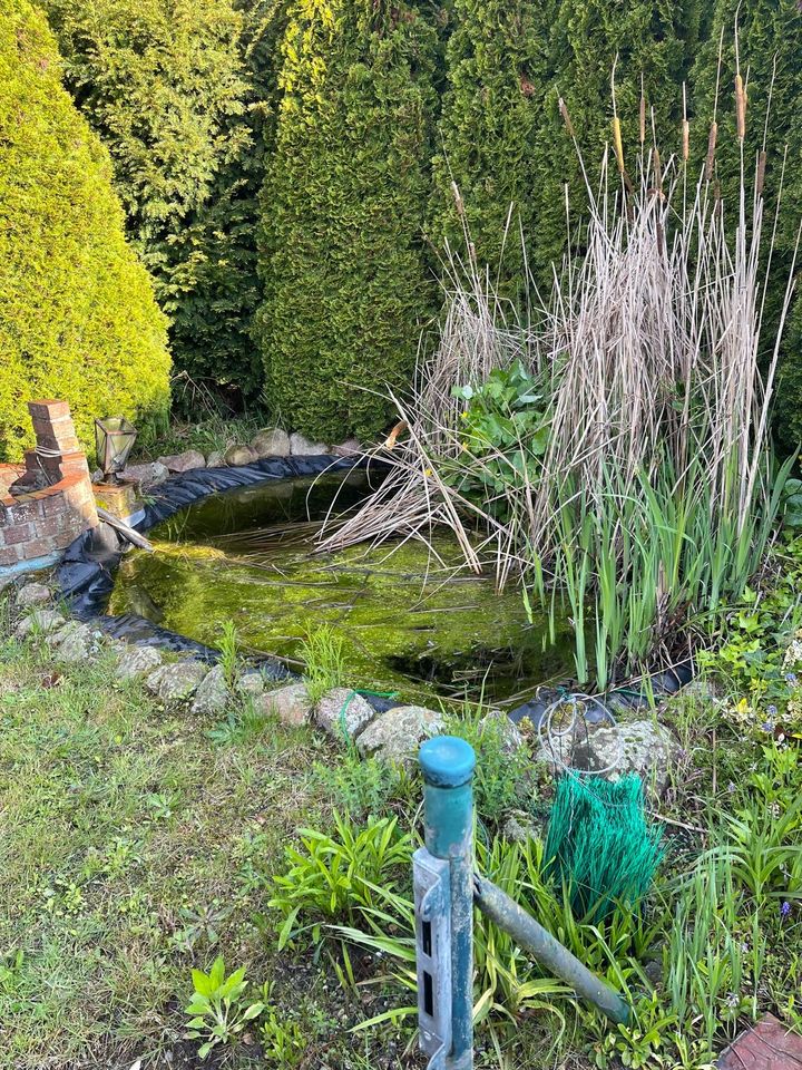 Perfekt für die handwerklich begabte Familie - Großzügige & individuell nutzbare Doppelhaushälfte mit Garten, Anbau & Carport in Lüneburg in Lüneburg