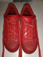 Adidas Superstars (EU38) Nordrhein-Westfalen - Siegburg Vorschau