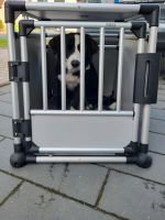 Trixie Hundebox für mittelgroße Hunde Nordrhein-Westfalen - Werther (Westfalen) Vorschau