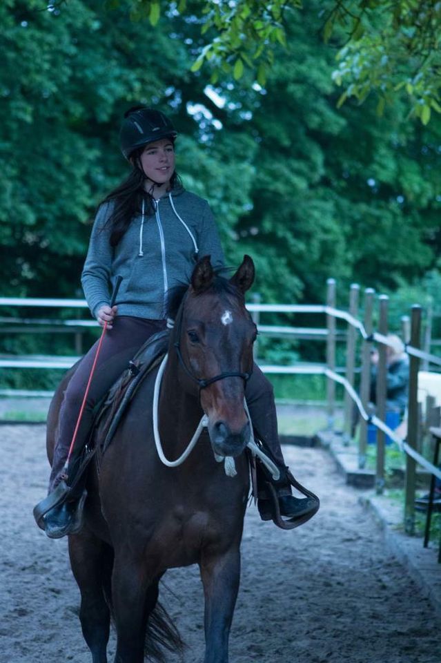 Reitunterricht Natural Horsemanship in Wetzlar