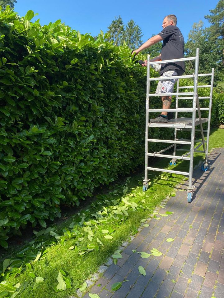 Zur Miete: Stihl Heckenschere & Rollgerüst in Buchholz in der Nordheide