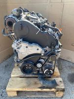 Motor VW Passat Tiguan 2.0 TDI CFG CFGA 170PS komplett Sachsen - Torgau Vorschau