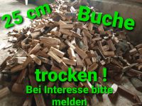 Brennholz Buche 25cm trocken oder Nass Nordrhein-Westfalen - Nieheim Vorschau