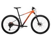 CANNONDALE MOUNTAINBIKE 29 ZOLL Trail SL 4 NEU! UVP 999 € BF1 Sachsen-Anhalt - Bitterfeld Vorschau