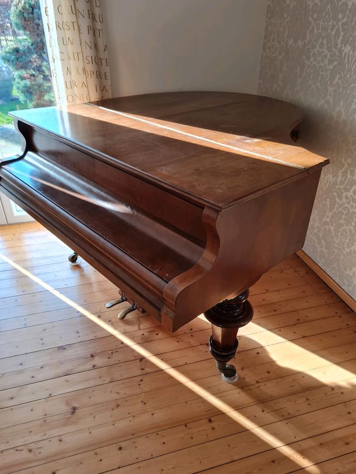 Bösendorfer Flügel , Pokorny Flügel,  163cm, ca. 1900 in Northeim